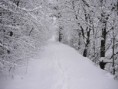 /album/galeria-de-fotos/neve-jpg/